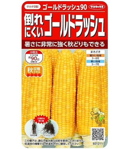ゴールドラッシュ90 とうもろこし　スイートコーン　種　2025年　25袋 Amazon | 種・ゴールドラッシュ90・倒れにくいゴールドラッシュ | 野菜